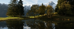 see zum beverin